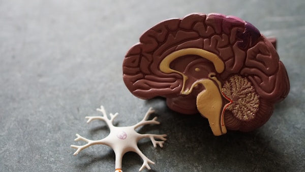 Neuroscience
